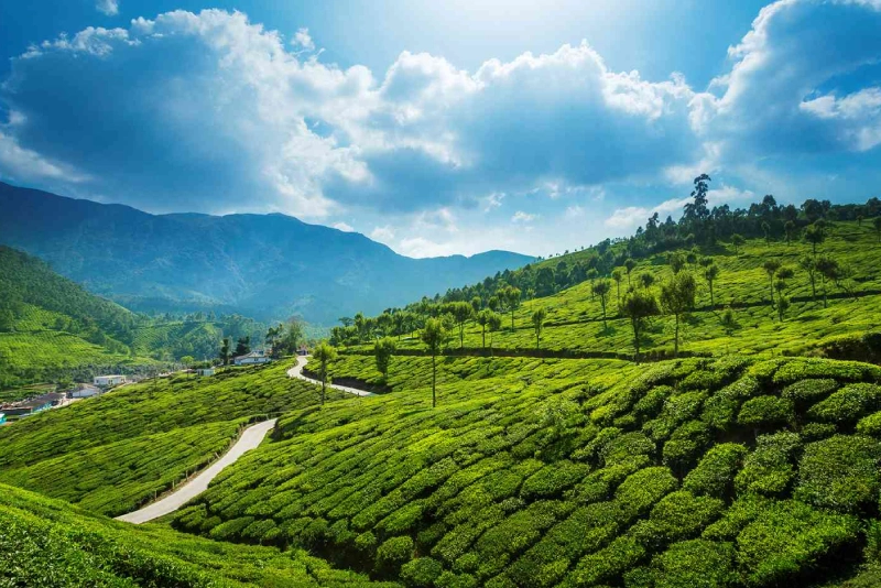 kerala tour packages