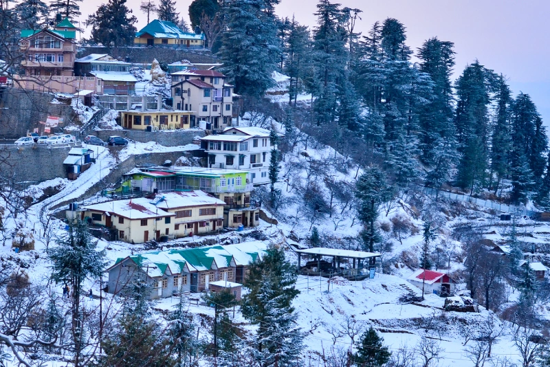 shimla tour packages